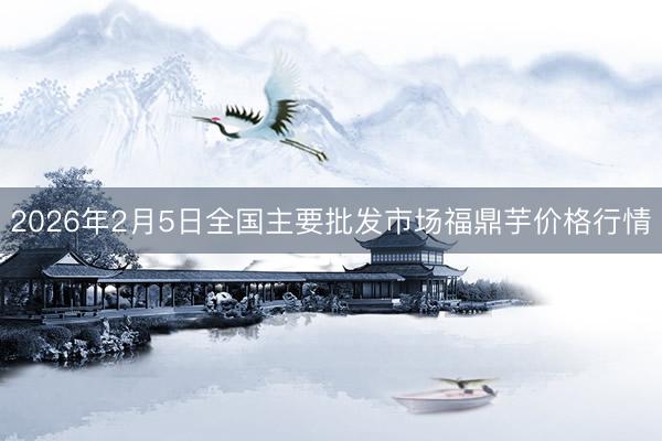 2026年2月5日全国主要批发市场福鼎芋价格行情