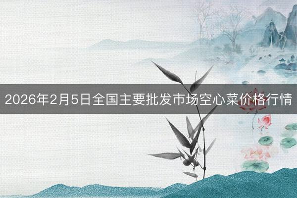 2026年2月5日全国主要批发市场空心菜价格行情