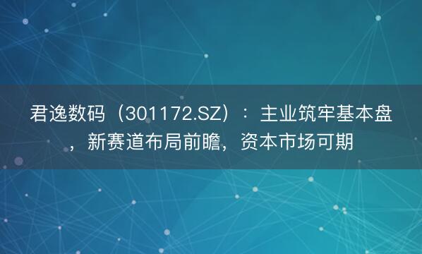 君逸数码（301172.SZ）：主业筑牢基本盘，新赛道布局前瞻，资本市场可期