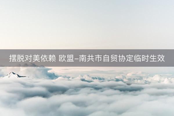 摆脱对美依赖 欧盟-南共市自贸协定临时生效