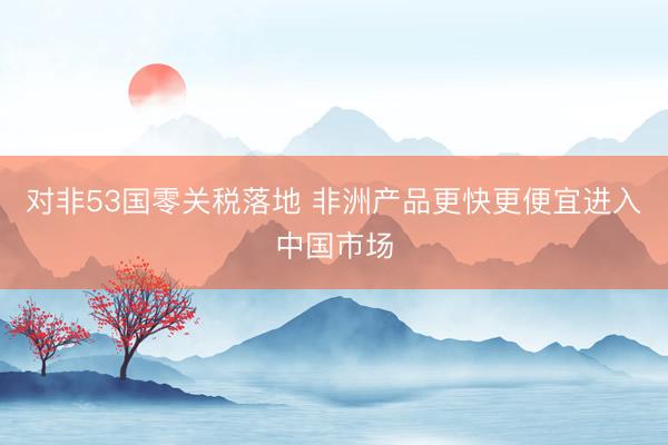 对非53国零关税落地 非洲产品更快更便宜进入中国市场