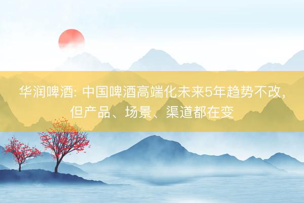 华润啤酒: 中国啤酒高端化未来5年趋势不改，但产品、场景、渠道都在变