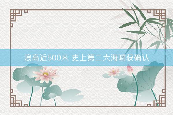 浪高近500米 史上第二大海啸获确认