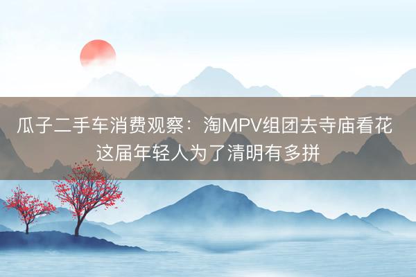 瓜子二手车消费观察：淘MPV组团去寺庙看花 这届年轻人为了清明有多拼
