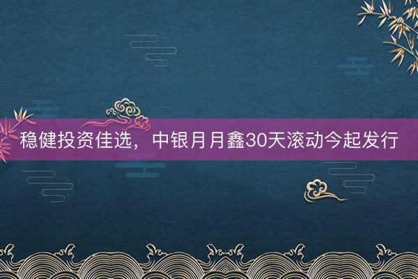 稳健投资佳选，中银月月鑫30天滚动今起发行