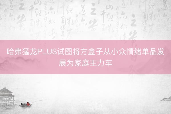 哈弗猛龙PLUS试图将方盒子从小众情绪单品发展为家庭主力车
