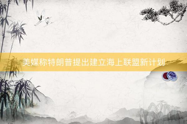 美媒称特朗普提出建立海上联盟新计划
