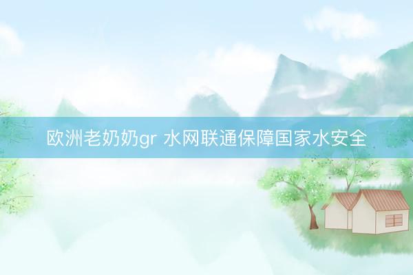 欧洲老奶奶gr 水网联通保障国家水安全