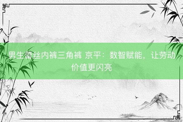 男生蕾丝内裤三角裤 京平：数智赋能，让劳动价值更闪亮