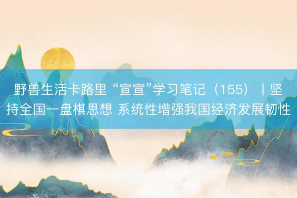 野兽生活卡路里 “宣宣”学习笔记(155)丨坚持全国一盘棋思想 系统性增强我国经济发展韧性