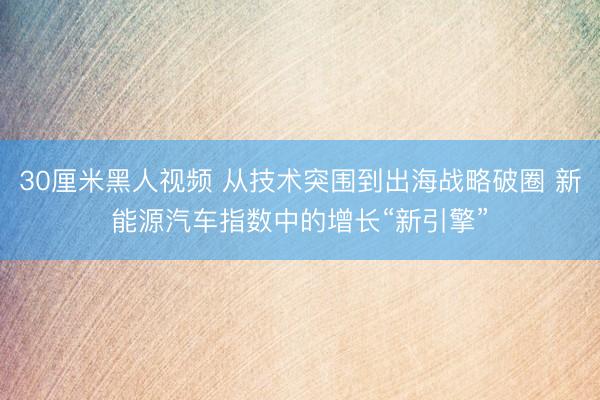 30厘米黑人视频 从技术突围到出海战略破圈 新能源汽车指数中的增长“新引擎”
