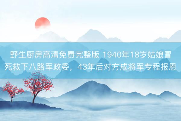 野生厨房高清免费完整版 1940年18岁姑娘冒死救下八路军政委，43年后对方成将军专程报恩