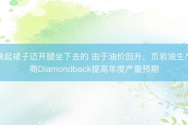 挽起裙子迈开腿坐下去的 由于油价回升,页岩油生产商Diamondback提高年度产量预期