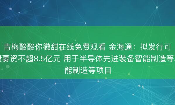 青梅酸酸你微甜在线免费观看 金海通：拟发行可转债募资不超8.5亿元 用于半导体先进装备智能制造等项目