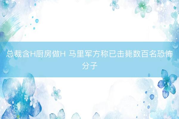 总裁含H厨房做H 马里军方称已击毙数百名恐怖分子