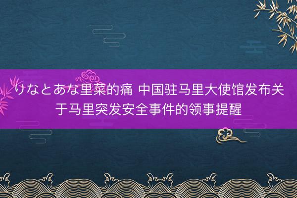 りなとあな里菜的痛 中国驻马里大使馆发布关于马里突发安全事件的领事提醒