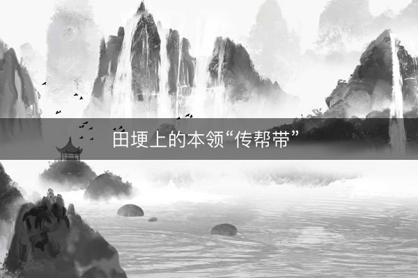 田埂上的本领“传帮带”