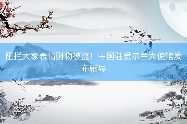 阻拦大家表情财物被盗！中国驻爱尔兰大使馆发布辅导
