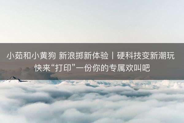 小茹和小黄狗 新浪掷新体验丨硬科技变新潮玩 快来“打印”一份你的专属欢叫吧