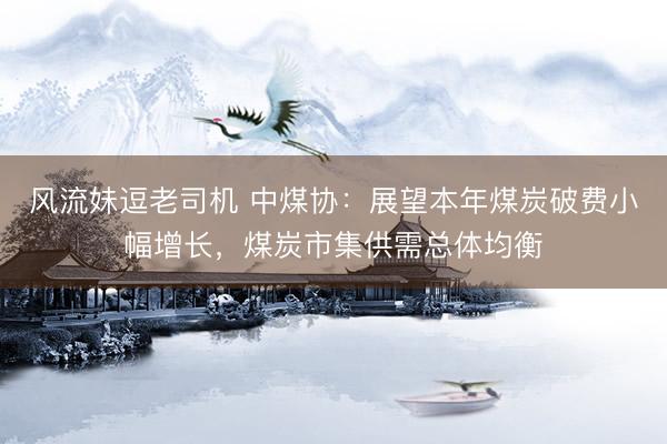 风流妹逗老司机 中煤协：展望本年煤炭破费小幅增长，煤炭市集供需总体均衡