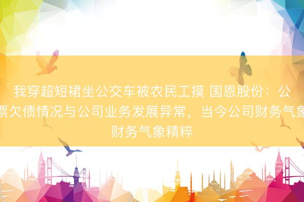 我穿超短裙坐公交车被农民工摸 国恩股份：公司钞票欠债情况与公司业务发展异常，当今公司财务气象精粹