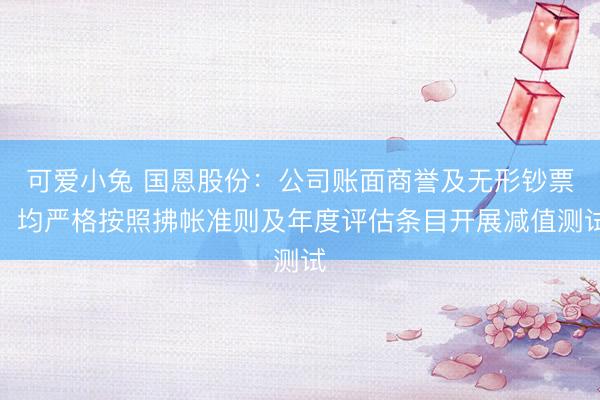 可爱小兔 国恩股份：公司账面商誉及无形钞票，均严格按照拂帐准则及年度评估条目开展减值测试