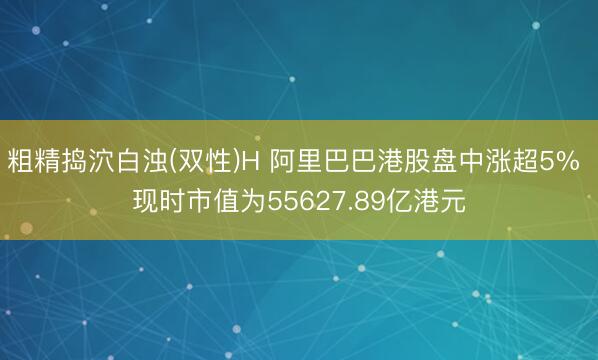 粗精捣泬白浊(双性)H 阿里巴巴港股盘中涨超5% 现时市值为55627.89亿港元