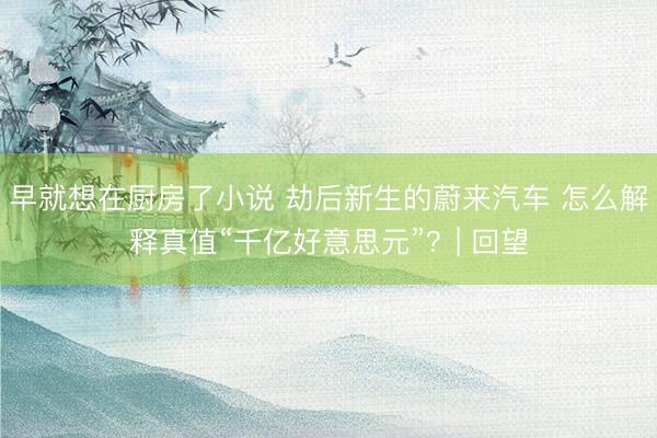 早就想在厨房了小说 劫后新生的蔚来汽车 怎么解释真值“千亿好意思元”？| 回望