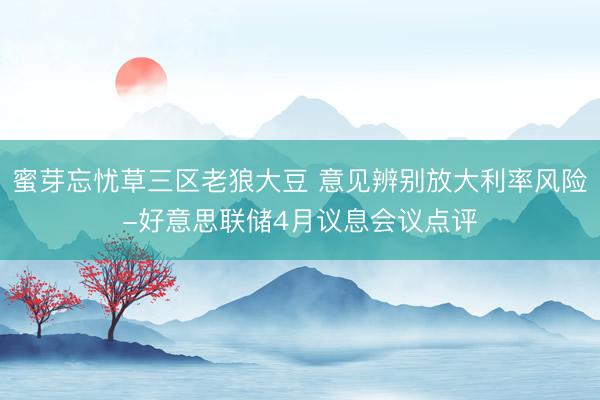 蜜芽忘忧草三区老狼大豆 意见辨别放大利率风险-好意思联储4月议息会议点评