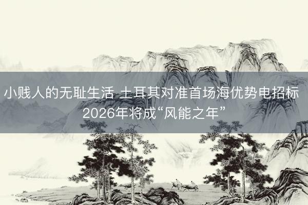 小贱人的无耻生活 土耳其对准首场海优势电招标 2026年将成“风能之年”