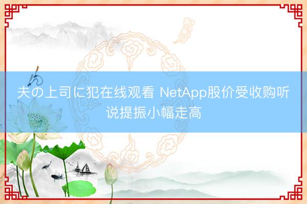 夫の上司に犯在线观看 NetApp股价受收购听说提振小幅走高