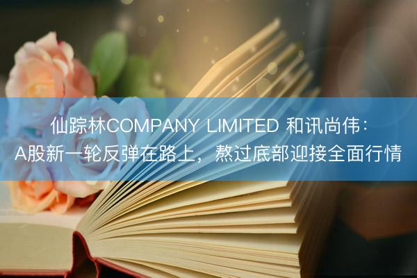 仙踪林COMPANY LIMITED 和讯尚伟：A股新一轮反弹在路上，熬过底部迎接全面行情