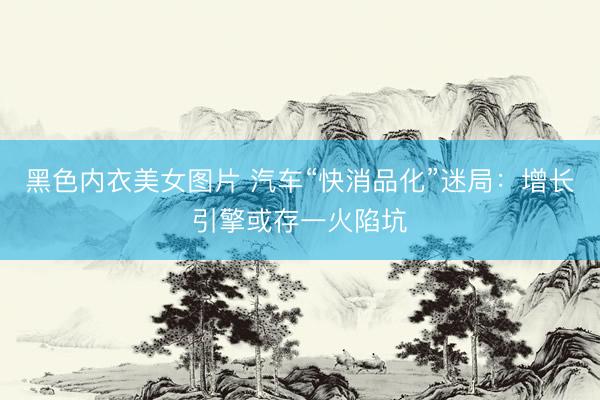 黑色内衣美女图片 汽车“快消品化”迷局：增长引擎或存一火陷坑