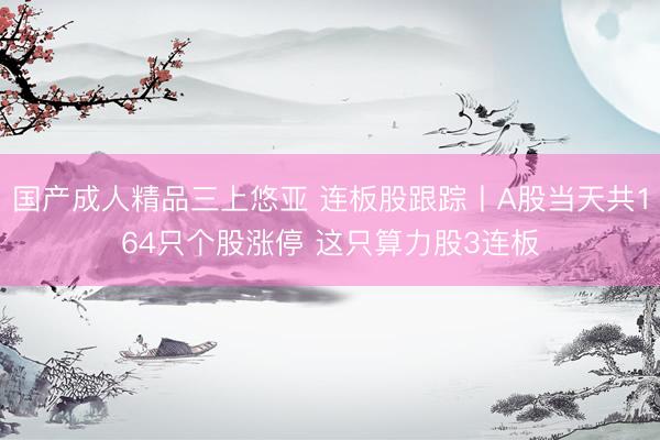 国产成人精品三上悠亚 连板股跟踪丨A股当天共164只个股涨停 这只算力股3连板