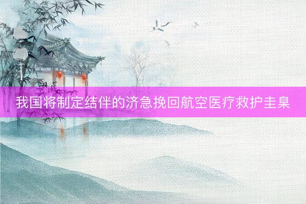 我国将制定结伴的济急挽回航空医疗救护圭臬